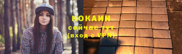 индика Абдулино