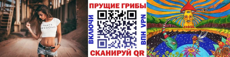 Псилоцибиновые грибы Cubensis  Собинка 